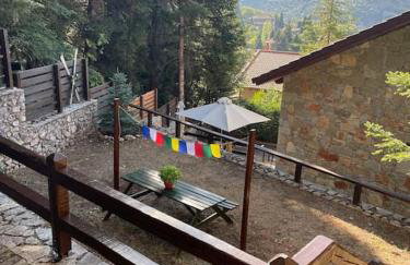 The forest chalet in Parnassus - Foto 15