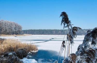 Apartament Jerzyn - Foto 55