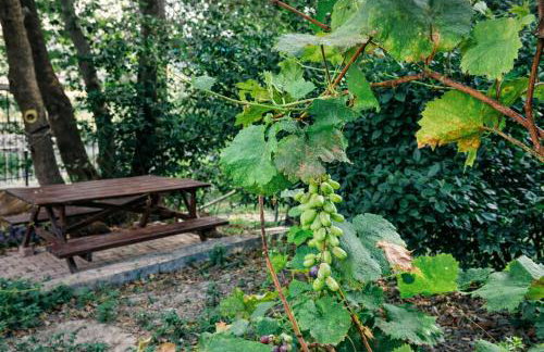 Sunshine Home - Peaceful Garden Escape & Parking - Foto 8