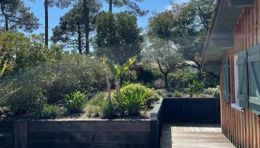 Maison de vacances à Petit Piquey, entre Bassin et Océan - Foto 4