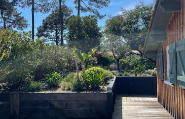 Maison de vacances à Petit Piquey, entre Bassin et Océan - Foto 4