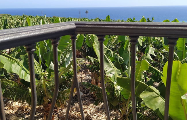 Trébol "trail Mountain La Palma" Vistas Al Mar - Foto 38