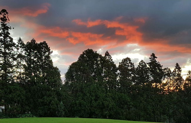 Kerikeri Park Lodge - Foto 53