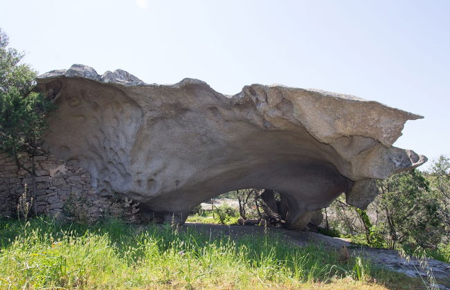 Agriturismo Lu Branu - Photo 21