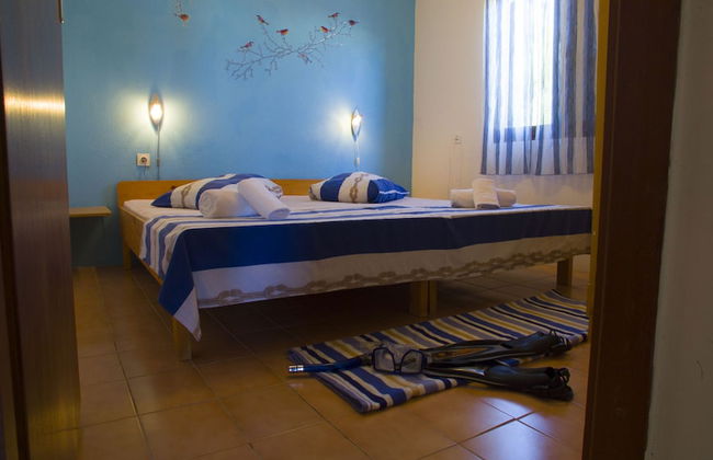 Victorious VIScovery Green - Foto 13