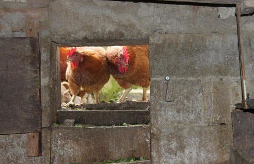 Meronas Eco House - Foto 26