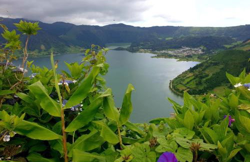 Vila Pilar Praia - Rural Apartment in the countryside of São Miguel - Photo 47
