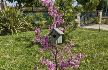 Les Jolis Nids - Studio Moineau - Foto 15