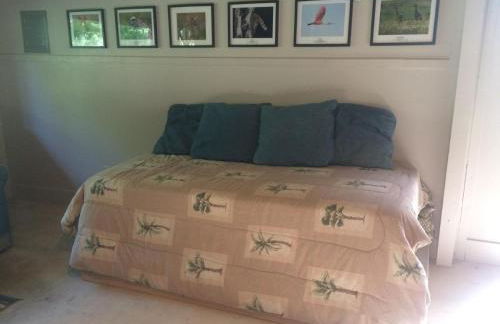 Swimming Hole - Foto 47