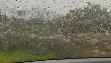 Estudio sofia - Foto 4