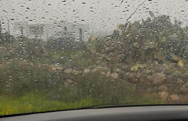 Estudio sofia - Foto 4