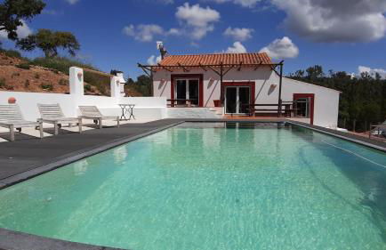 Gecko Pego Longo - Foto 38