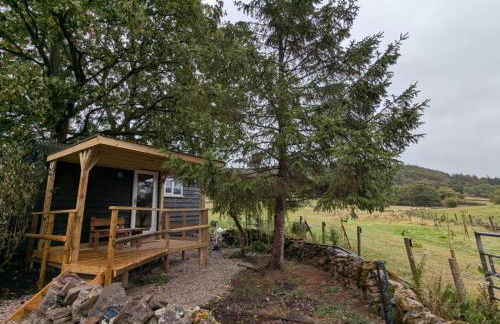 The Rodney Shepards hut - Photo 3