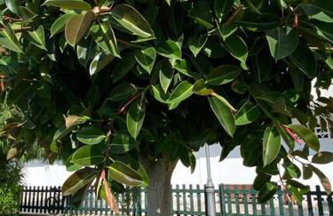 Sea Escape 2 - Foto 23