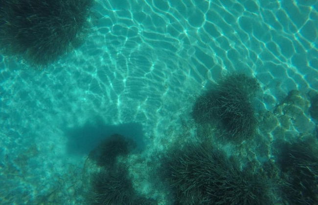 Apartments Žaknić - Foto 49