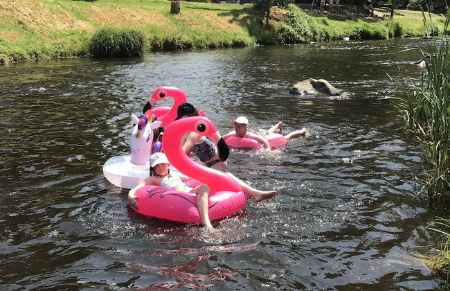 Warburton Digs - Foto 21