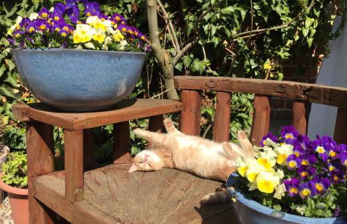 Ferienhof Utech - Foto 65