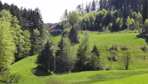 ruhiges Wohnen am Lama und Maine Coon Hof in Alleinlage in Biederbach 3 Zimmer mit Kochgelegenheit Bad - Foto 3