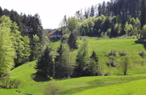 ruhiges Wohnen am Lama und Maine Coon Hof in Alleinlage in Biederbach 3 Zimmer mit Kochgelegenheit Bad - Foto 3