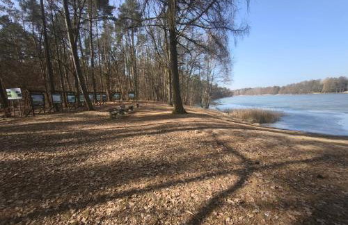 Przystań Familijna - Foto 17