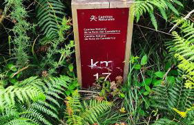 Estrella de O Vicedo - Foto 37