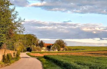 Dom Pod Złotym Bażantem - Foto 14