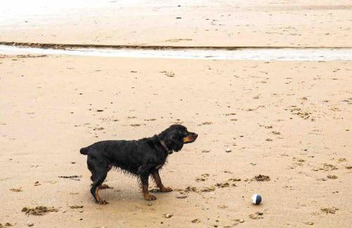 Large Cottage, Beach, Pubs Shops, Netflix, BBQ, Dog Friendly - Foto 42