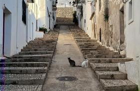 Stunning penthouse with sea view in Altea Hills - Photo 53