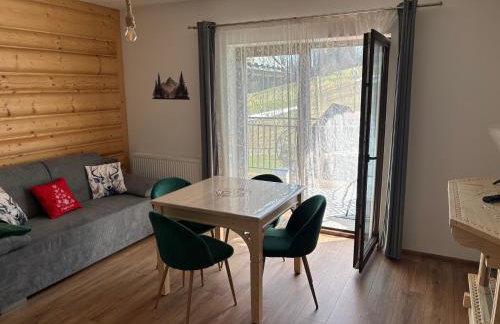 Apartamenty pod Góralskim Niebem - Photo 6