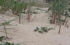 Appartement cosy - Foto 15