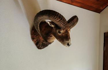 Baumhaus Heuhütte - Foto 40