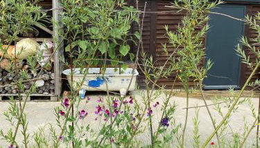 The Cranny, 1 Bedroom House with Indoor Fireplace - Foto 4, Garden view