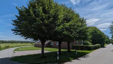 Ferienhaus Iris - Photo 5