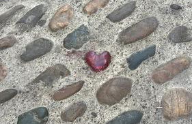 Corazón 23 - Foto 44