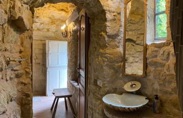 The Cygnet at the 'Songbird Sanctuary' - Foto 11