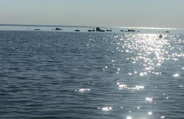 Il Filo di Arianna Cottage di Campagna - Photo 55