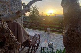 homonatura petrinum - Foto 23