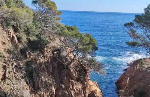 Espiga, Cala privada Tossa de Mar - Foto 37