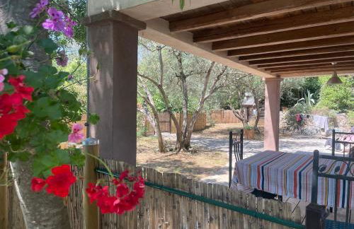 Gîte hérault cévennes avec piscine et tiny house - Foto 9