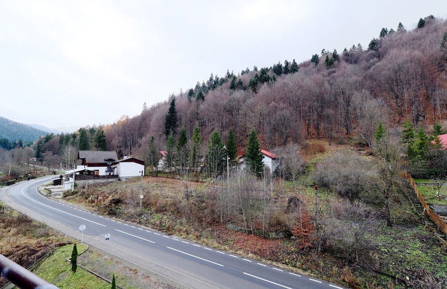 Vlad Studio - Foto 24