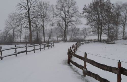 Appartement Landhaus Markus, Suderschwei - Foto 44