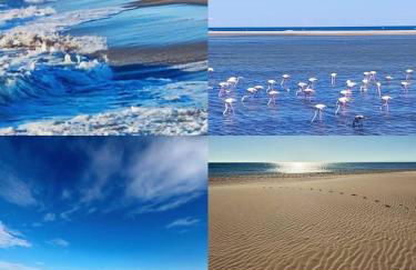 De la Clape à la mer mon petit pavillon labellisé - f2- piscine commune - wifi gratuit- parking privé - arrivee autonome - 800 m plage - grande terrasse abritée vent - - Foto 6