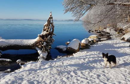 KüstenKind - Foto 19