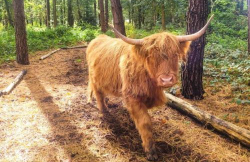 3 Bed in Kings Lynn oc-93413 - Foto 34