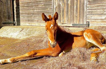 Spacious Cottage in Dartmoor - Foto 20