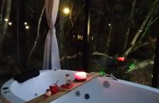 Sitio Lar da Terra - Foto 52