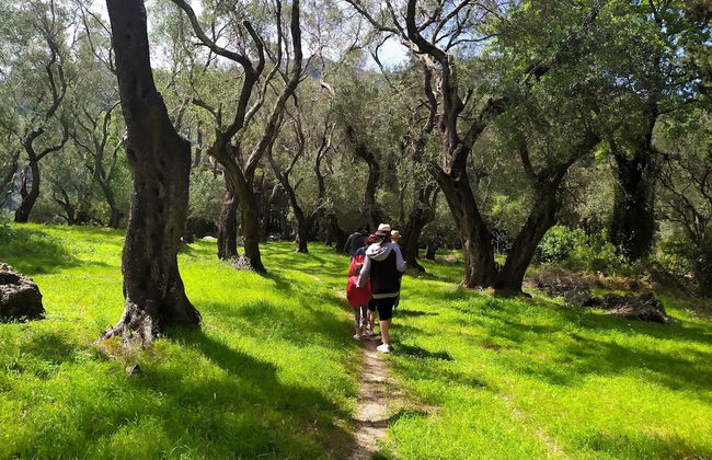 Villa Claire Corfu - Foto 45