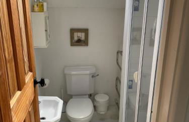 Hollyhocks - Foto 14