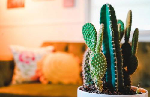 Rose Ranch - Charming Country Home - Foto 1