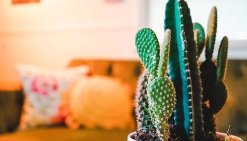 Rose Ranch - Charming Country Home - Foto 1